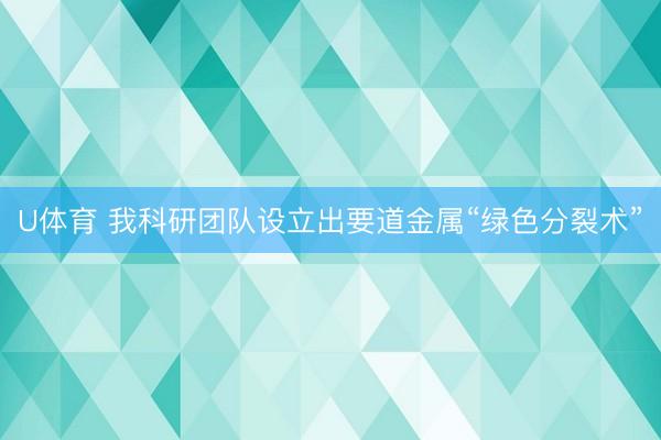 U体育 我科研团队设立出要道金属“绿色分裂术”