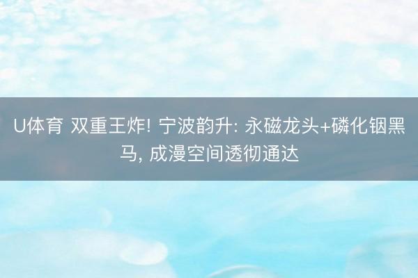 U体育 双重王炸! 宁波韵升: 永磁龙头+磷化铟黑马， 成漫空间透彻通达