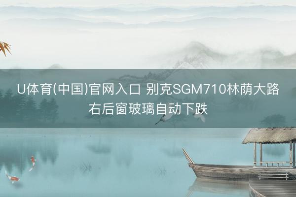 U体育(中国)官网入口 别克SGM710林荫大路右后窗玻璃自动下跌