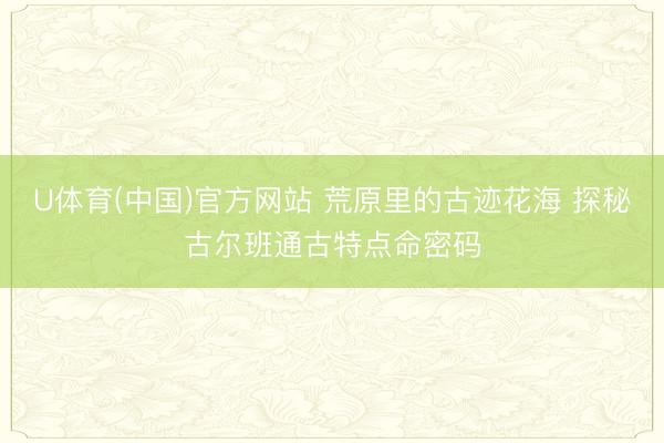 U体育(中国)官方网站 荒原里的古迹花海 探秘古尔班通古特点命密码