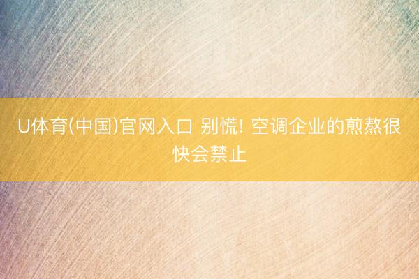 U体育(中国)官网入口 别慌! 空调企业的煎熬很快会禁止