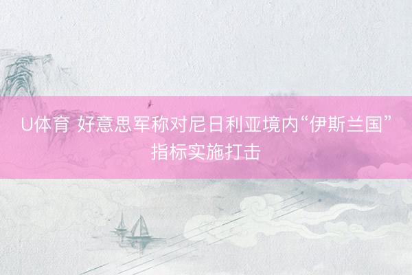 U体育 好意思军称对尼日利亚境内“伊斯兰国”指标实施打击