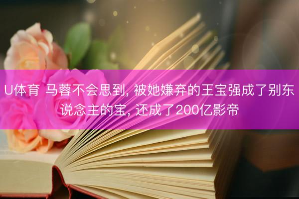 U体育 马蓉不会思到， 被她嫌弃的王宝强成了别东说念主的宝， 还成了200亿影帝