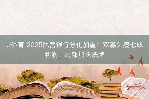 U体育 2025民营银行分化加重：双寡头揽七成利润，尾部加快洗牌
