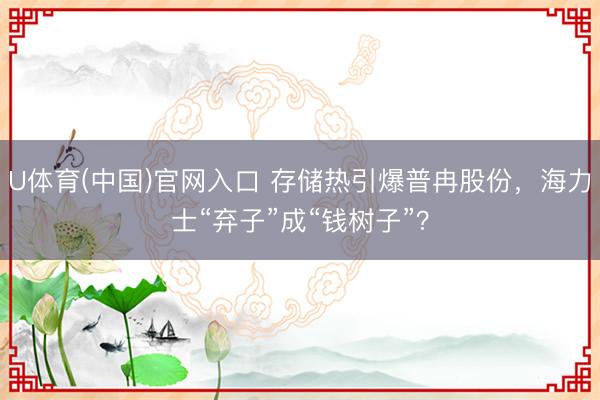 U体育(中国)官网入口 存储热引爆普冉股份,海力士“弃子”成“钱树子”?