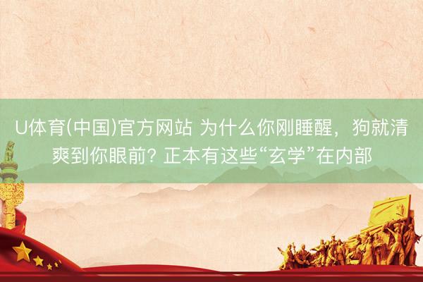 U体育(中国)官方网站 为什么你刚睡醒,狗就清爽到你眼前? 正本有这些“玄学”在内部