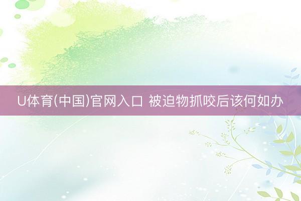 U体育(中国)官网入口 被迫物抓咬后该何如办