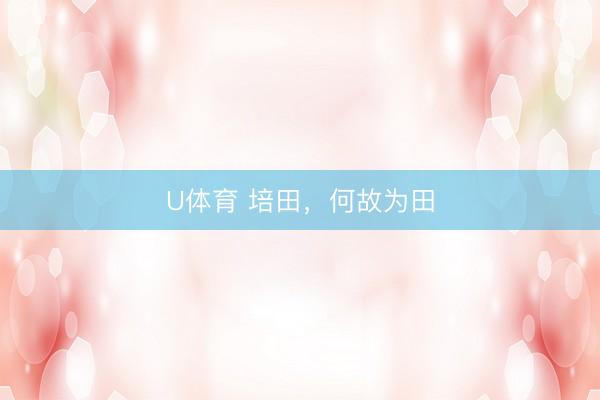 U体育 培田，何故为田