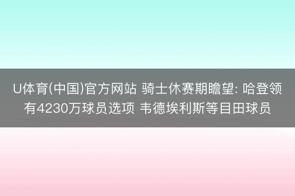 U体育(中国)官方网站 骑士休赛期瞻望: 哈登领有4230万球员选项 韦德埃利斯等目田球员