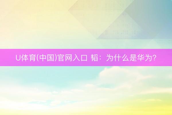 U体育(中国)官网入口 韬：为什么是华为？