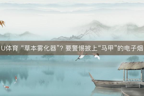 U体育 “草本雾化器”? 要警惕披上“马甲”的电子烟