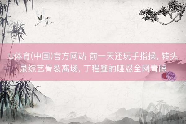 U体育(中国)官方网站 前一天还玩手指操， 转头录综艺骨裂离场， 丁程鑫的哑忍全网青睐