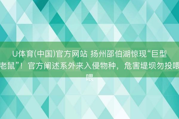U体育(中国)官方网站 扬州邵伯湖惊现“巨型老鼠”！官方阐述系外来入侵物种，危害堤坝勿投喂