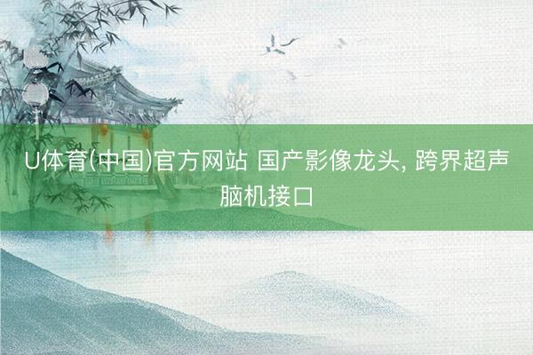 U体育(中国)官方网站 国产影像龙头， 跨界超声脑机接口