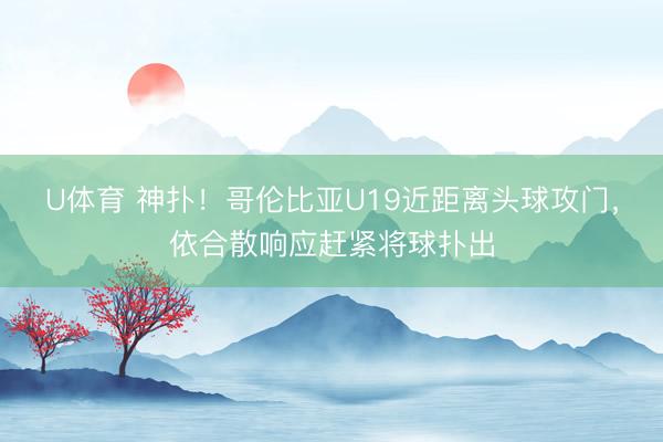 U体育 神扑！哥伦比亚U19近距离头球攻门，依合散响应赶紧将球扑出