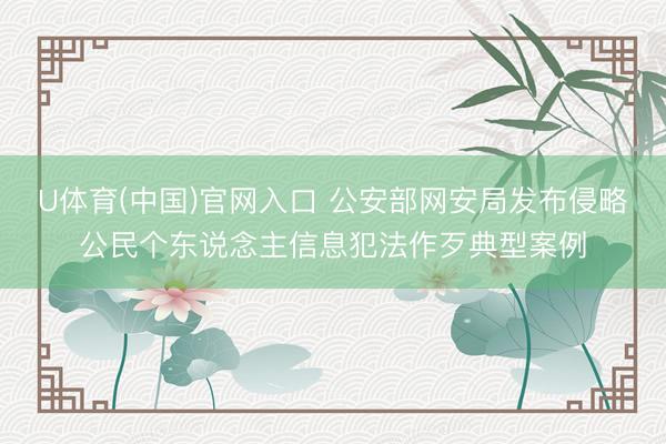 U体育(中国)官网入口 公安部网安局发布侵略公民个东说念主信息犯法作歹典型案例