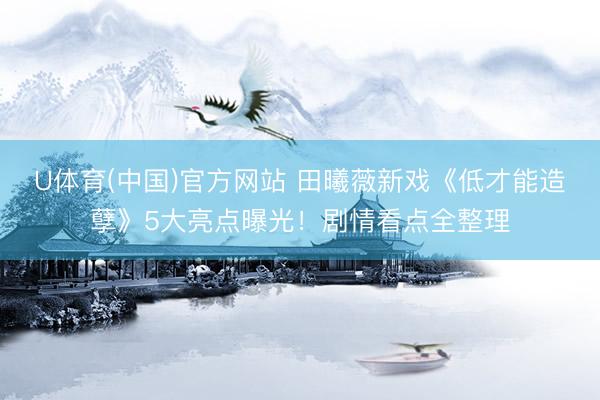 U体育(中国)官方网站 田曦薇新戏《低才能造孽》5大亮点曝光！剧情看点全整理