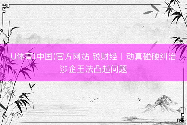 U体育(中国)官方网站 锐财经丨动真碰硬纠治涉企王法凸起问题