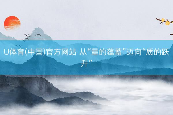 U体育(中国)官方网站 从“量的蕴蓄”迈向“质的跃升”