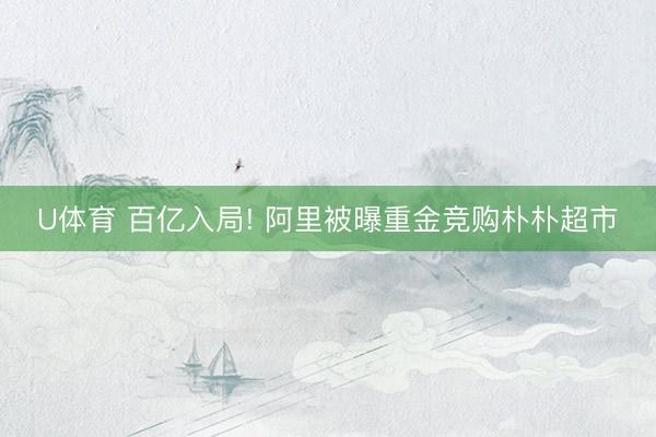 U体育 百亿入局! 阿里被曝重金竞购朴朴超市