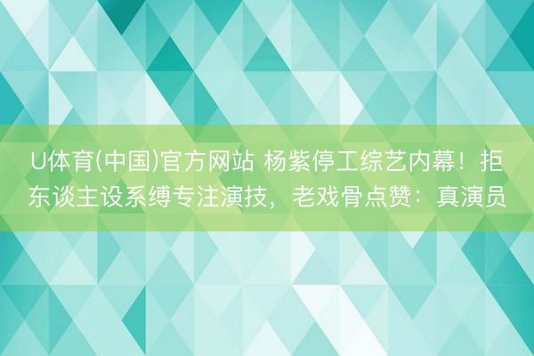 U体育(中国)官方网站 杨紫停工综艺内幕！拒东谈主设系缚专注演技，老戏骨点赞：真演员