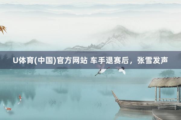 U体育(中国)官方网站 车手退赛后,张雪发声
