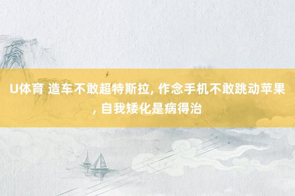 U体育 造车不敢超特斯拉， 作念手机不敢跳动苹果， 自我矮化是病得治