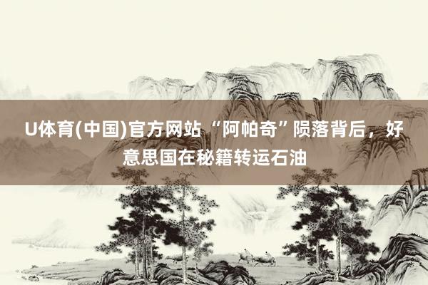 U体育(中国)官方网站 “阿帕奇”陨落背后，好意思国在秘籍转运石油